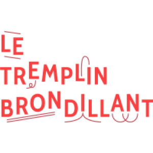 tremplin brondillant logo de896539